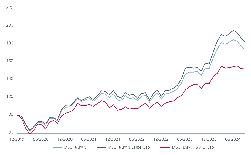 Fig 1: Japan’s small caps lag in returns