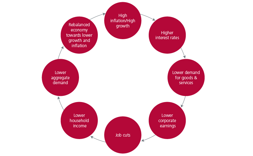 Fig 1: Monetary policy transmission chain